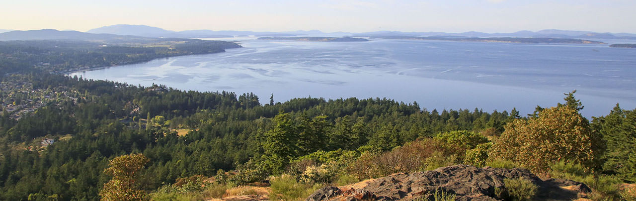 Saanich South Conservatives